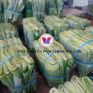 Hojas de Plátano Verdes Naturales Frescas y Congeladas, Envoltorio de Alimentos 100% Biodegradable, Calidad de Exportación para EE. UU., UE, Australia y Asia Ms. May - Product Image 4