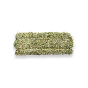 Prix d'usine pour le foin d'alfalfa disponible pour les grossistes en aliments pour animaux et les entreprises agricoles - Product Image 4