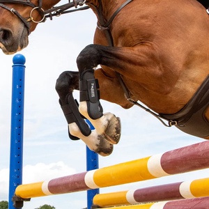 Formation saut équitation concours complet brossage cheval bottes léger respirant avant et arrière bottes jambes protecteur un ensemble - Product Image 4
