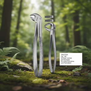 Instrumentos Médicos, Dentales y Quirúrgicos de Varsovia - Product Image 2