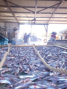 BLUE LOTUS FARM Anchoas Blancas Secas 100% Pescado Pequeño de Vietnam de Primera Calidad Empacado al Vacío 2026 MARISCOS SECOS - Product Image 6