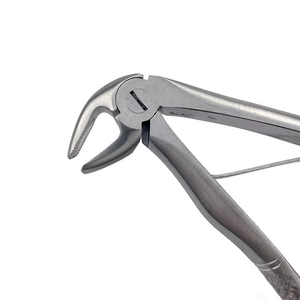 Forceps d'extraction dentaire en acier inoxydable, poignée moletée argentée, instrument manuel d'extraction dentaire, outil chirurgical de classe I - Product Image 3