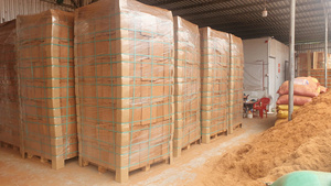 Polvo de Fibra de Coco Ecológico, Turba de Coco Orgánica para Cultivo de Plantas de Jardín y Agricultura Comercial - Product Image 4