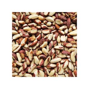 Nueces de Brasil al por mayor de alta calidad a precio económico 100% precio económico Nueces de Brasil / Nueces de Brasil crudas - Product Image 3