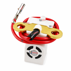 LML Vespa Star Zündspule, elektronische Zündspule, Exportqualität für Zweirad-Ersatzteile, Indien, Orado - Product Image 2