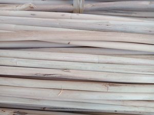 Premium Peeled Rattan Sticks | Rattan Manau Cane Peeled-Strength For Furniture & Handicrafts | Eco Friendly Export Material - Product Image 4