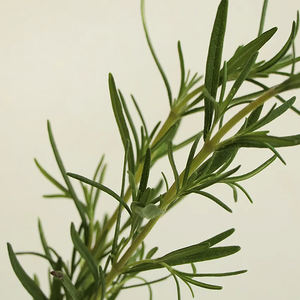 Savon texturé personnalisé OEM pour articles phares, mini savons en gros, vente chaude, savon coréen de luxe original parfait - Product Image 3