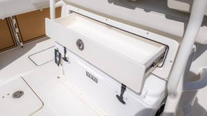 2026 W-o-r-l-d C-a-t 265C-C - Product Image 5