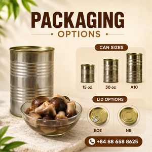 Champiñones Salados Picados en Conserva en Salmuera Premium Listos para Consumir 15/30 oz para Servicios de Alimentación y Procesamiento con 24 Meses de Vida Útil - Product Image 3