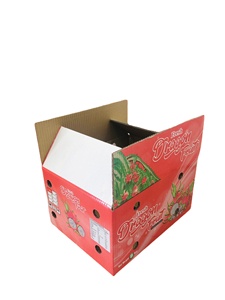 OEM Rectángulo Corrugado Dragon Fruit Caja de envío 40*30,5*21,5 cm UV Impreso Ecológico Materiales reciclados Papel flexográfico - Product Image 6