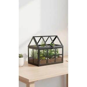 Terrario de Diseño Innovador en Forma de Casa de Cristal con Acabado Dorado, Ecológico, para Suculentas y Plantas Aéreas - Product Image 5