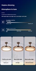 Modern 42/48 Inch DC Motor Retractable Ceiling Fan with LED Light Remote Control Black White <strong>Gold</strong> Design for Living Room - Product Image 6