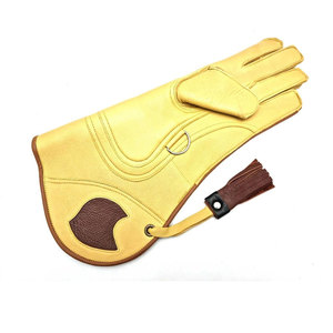 Vêtements de sport confortables, gants de fauconnerie professionnels, respirants, dernier design, gants professionnels - Product Image 1