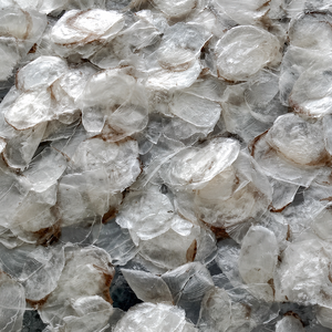 Écailles de Tilapia Séchées pour la Production de Gélatine au Meilleur Prix au Vietnam – Écailles de Tilapia Décalciifiées / Mme Alina - Product Image 5