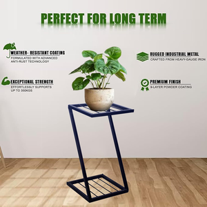 Support de plantes en métal pour intérieur et extérieur, support de pot de fleurs robuste, support de jardinière décoratif pour la maison, le jardin, le balcon, le salon - Product Image 3