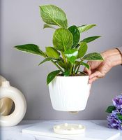 Grandes jardinières d'extérieur en fer pour plantes, écologiques, auto-arrosantes, pour semis