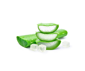 Cubos de gel de aloe vera de alta calidad de Vietnam para bebidas y aplicaciones culinarias Exportar productos agrícolas de calidad - Product Image 2