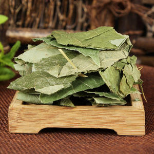 Hojas de Guanábana Vietnamita Secas al Sol de la Mejor Calidad, Puro Orgánico y Aromático, Cuidadosamente Seleccionadas, Compra al por Mayor OEM - Product Image 3