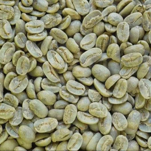 Pure Organic Highland Arabica Green <b>Coffee</b> <b>Beans</b> Raw for Specialty Roasting Vietnam Origin IIGLOBAL BRAND GCB26 Non-GMO - Product Image 1