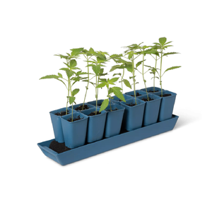 Kit de démarrage de semis XL Gardener's Best - Product Image 3