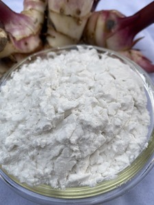 Mejor almidón de araroto orgánico en polvo, precio económico, sabor natural para alimentos e ingredientes, envasado en bolsa, procedente de Vietnam - Product Image 5