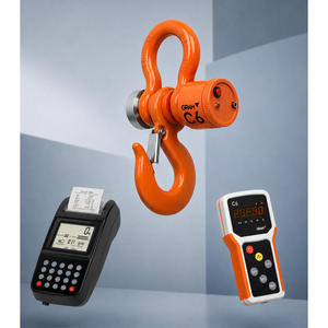 Accurex C6 - Bilancia a ponte wireless per pesatura all'aperto e a lunga distanza - Product Image 1