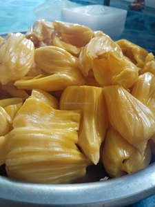 Piña en Rodajas Congelada IQF Envasada al Vacío de Vietnam - Product Image 4