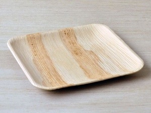 Assiettes carrées compostables en feuille de palmier de 10 pouces pour présentation de desserts et de collations, lot de 25, résistantes au congélateur, modernes - Product Image 1