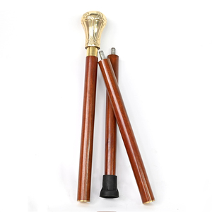 Bastón de Caminar Ligero Hecho a Medida de Alta Calidad, Ajustable, Duradero y Moderno para Venta en Línea - Product Image 2