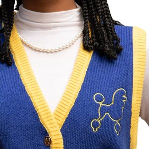 เสื้อกั๊กไหมพรม Sigma Gamma Rho สีน้ำเงินทองสำหรับผู้หญิง แบบติดกระดุม สไตล์ลำลองแบบ Preppy สำหรับชมรมนักศึกษากรีก - Product Image 3