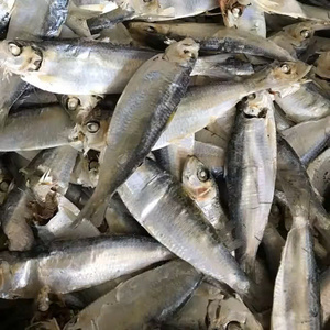 Pescado Seco de Etiqueta Privada OEM, Arenque Seco Envasado al Vacío, Mariscos Secos para Supermercado - Product Image 3