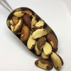 Meilleures Noix du Brésil de Qualité Supérieure en Gros, Vente en Vrac, Prêtes à l'Expédition, Qualité Alimentaire, Approvisionnement Export - Product Image 1