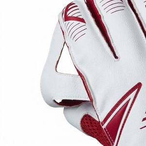 Fabricación por Contrato de Guantes de Críquet con Marca Personalizada, Servicio OEM y Suministro al por Mayor para Importadores y Deportistas - Product Image 2