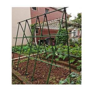 Piquets de jardin pour plantes grimpantes, piquets en métal revêtus de PE - Product Image 3