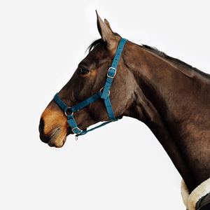 Cabestro para Caballo Transpirable de Alta Calidad, Estilo Western, Nuevo, Moderno, Cómodo y Ajustable - Product Image 1