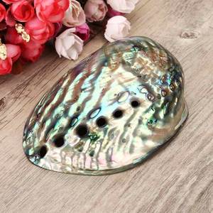 Coquillages naturels bon marché en gros de matériel de nettoyage Coquillages de mer Coquillages naturels pour décorations par 99 Gold Data - Product Image 5