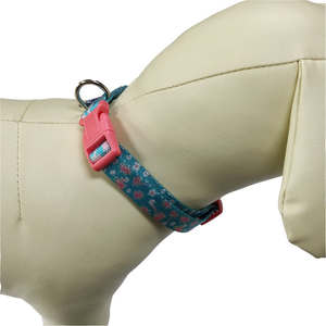 Collier de dressage pour chien en métal robuste de haute qualité, collier et laisse pour grands chiens, collier tactique pour chien - Product Image 6