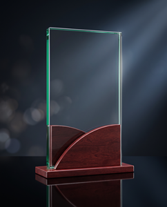 Elegant Acrylic & Bronze Award Durable Recyclable Engraved Logo-Unique Blend of Natural Beauty Modern Design for Celebrations - Product Image 2