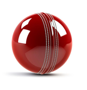 Ballon de cricket en cuir personnalisé, ballon d'entraînement, ballon de match pour adultes, couleur personnalisée, logo personnalisé, accessoire sportif, logo personnalisé OEM ODM - Product Image 2