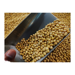 Soja jaune non OGM de haute qualité (8,0 mm) - Product Image 5