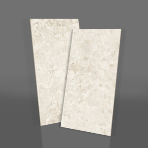 Vente directe d'usine, carreaux de sol en granit 600x1200mm super polis pour salle de banquet. - Product Image 1