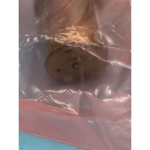 มอเตอร์สเต็ปเปอร์ PITTMAN GM9413H435, 182801 - อุปกรณ์และอะไหล่เซมิคอนดักเตอร์ระดับโลกที่เชื่อถือได้ - Product Image 5