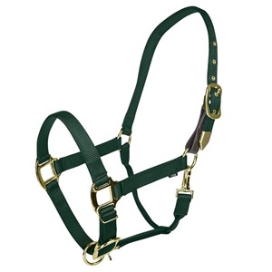 En gros, Mini-voile en nylon pour cheval miniature, réglable, avec ferrures en laiton de qualité supérieure, pour l'entraînement, OEM - Product Image 2