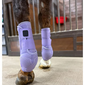 Protector de Patas para Caballos de Diseño Premium, Botas de Neopreno para Tendones, Botas Deportivas Equinas, Botas de Protección para Inyecciones en Caballos - Product Image 6