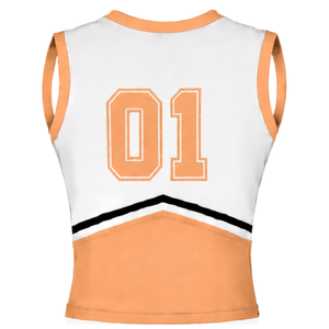 <b>Peach</b> Orange Cheerleading Uniform <b>Top</b> Sleeveless V Neck Dance Team Training Athletic Performance Sportswear Wear - Product Image 2