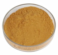 OEM 100% Zuiver Natuurlijk Persimmon Fruitextract 10:1 Premium Kwaliteit Diospyros kaki Poeder Fijn Gemalen Persimmon Poeder uit India