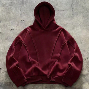 Wholesale Embroidered & Applique Digital Printed 100% Cotton Heavyweight Winter Hoodies for Startup Clothing Brand Production - Product Image 1