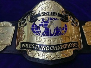 Ceinture de championnat NWA TAG TEAM MMA personnalisée, 0,5 cm, alliage de zinc, légère, taille haute, 1,2 m de longueur, unisexe, 1 pièce - Product Image 5
