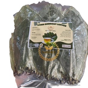 Feuilles de corossol séchées pour tisane, qualité supérieure, feuilles de Graviola naturelles, vente en gros, origine Vietnam, directement de l'usine - Product Image 1