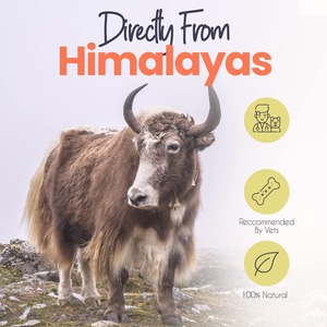 Friandises à mâcher au fromage de yak de l'Himalaya pour chiens, marque privée, naturelles, à longue durée d'action, friandise dentaire premium, collation dure au fromage pour animaux de compagnie, vente en gros - Product Image 6